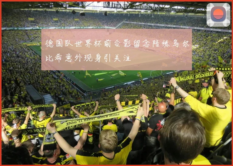 德国队世界杯前合影留念陪练乌尔比希意外现身引关注